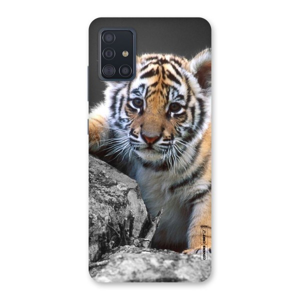 Animal Beauty Back Case for Galaxy A51