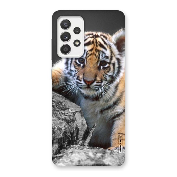 Animal Beauty Back Case for Galaxy A52