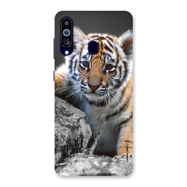 Animal Beauty Back Case for Galaxy A60