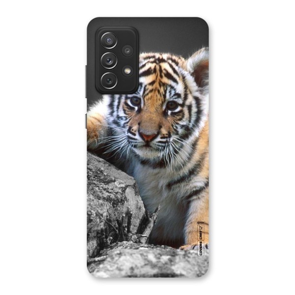 Animal Beauty Back Case for Galaxy A72