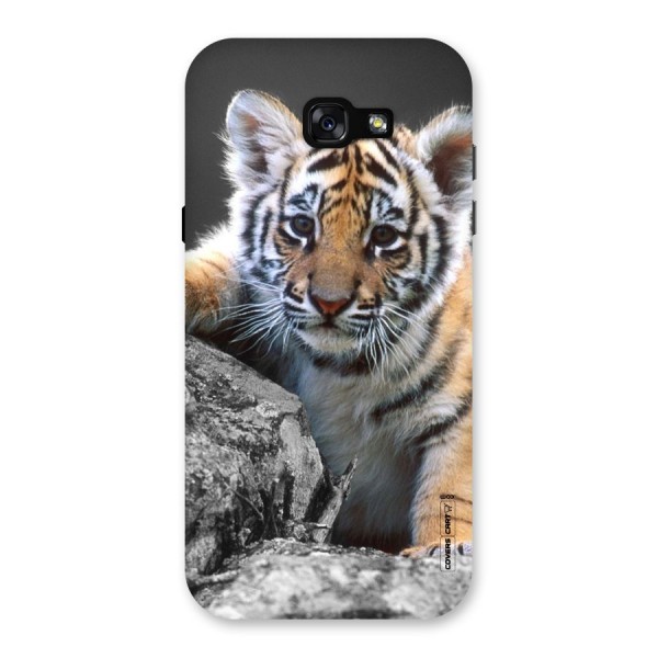 Animal Beauty Back Case for Galaxy A7 (2017)