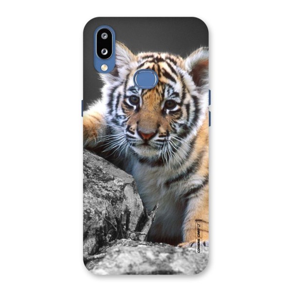 Animal Beauty Back Case for Galaxy M01s