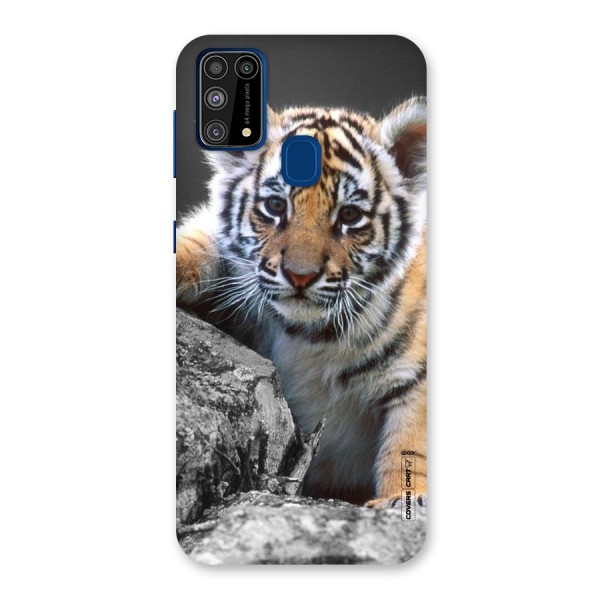 Animal Beauty Back Case for Galaxy M31