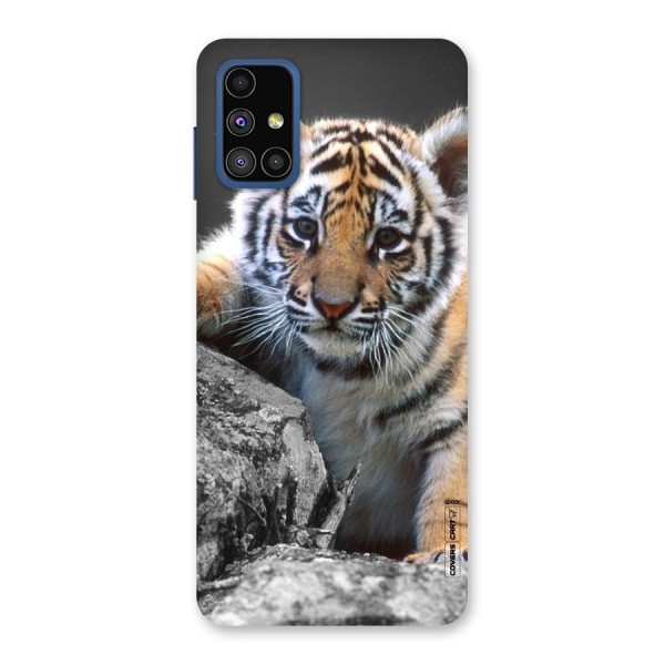 Animal Beauty Back Case for Galaxy M51