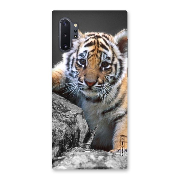 Animal Beauty Back Case for Galaxy Note 10 Plus