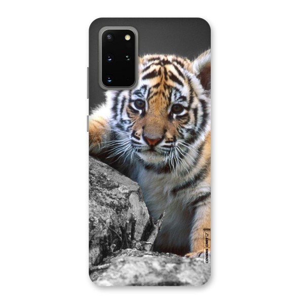 Animal Beauty Back Case for Galaxy S20 Plus