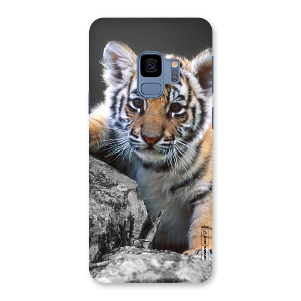 Animal Beauty Back Case for Galaxy S9