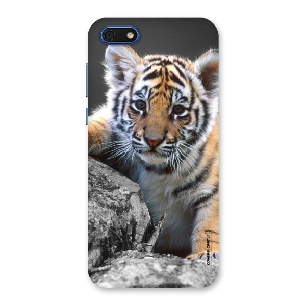 Animal Beauty Back Case for Honor 7s