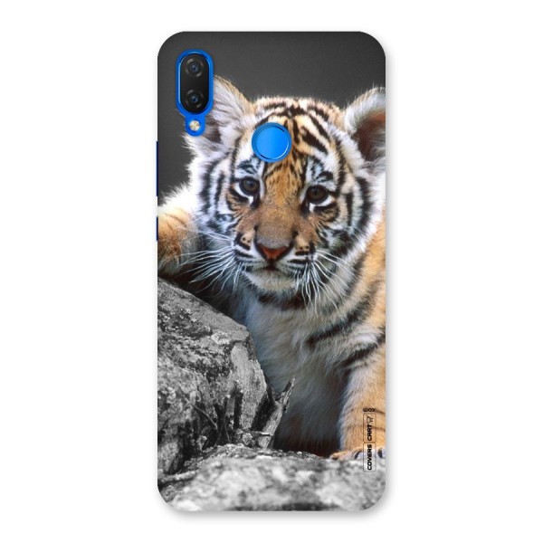 Animal Beauty Back Case for Huawei Nova 3i