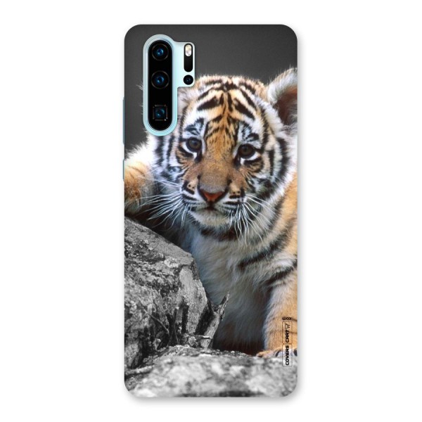 Animal Beauty Back Case for Huawei P30 Pro