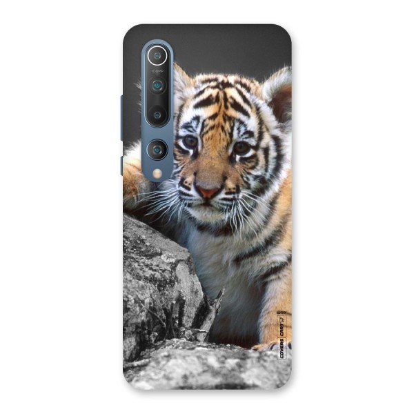 Animal Beauty Back Case for Mi 10