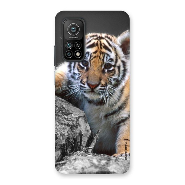 Animal Beauty Back Case for Mi 10T Pro 5G