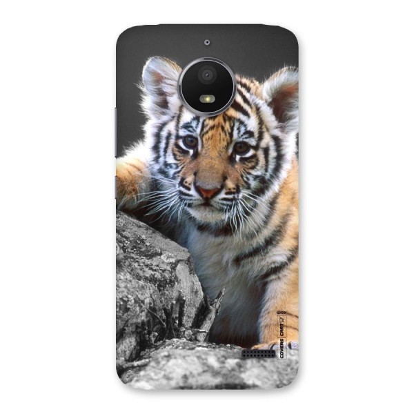 Animal Beauty Back Case for Moto E4