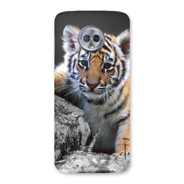 Animal Beauty Back Case for Moto G6