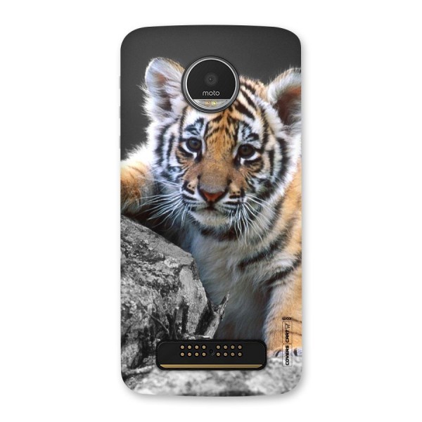 Animal Beauty Back Case for Moto Z Play