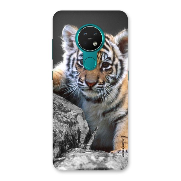 Animal Beauty Back Case for Nokia 7.2