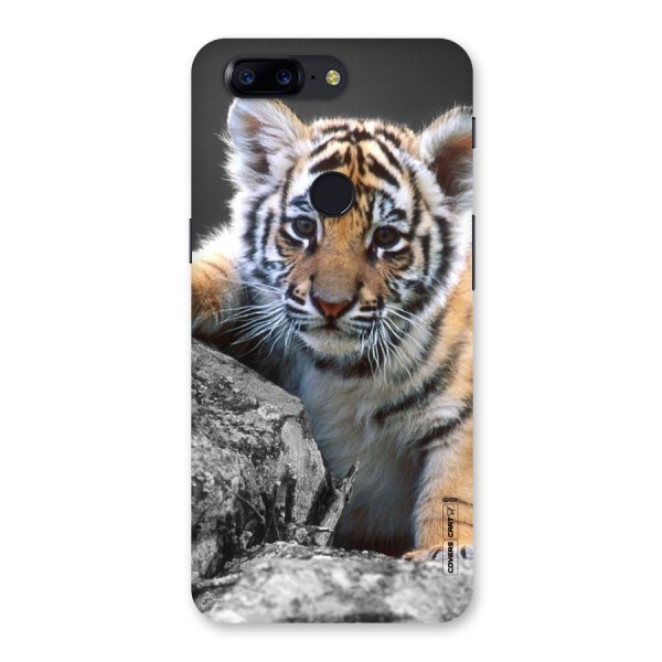 Animal Beauty Back Case for OnePlus 5T