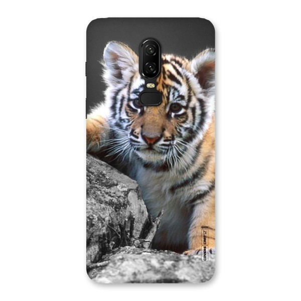 Animal Beauty Back Case for OnePlus 6