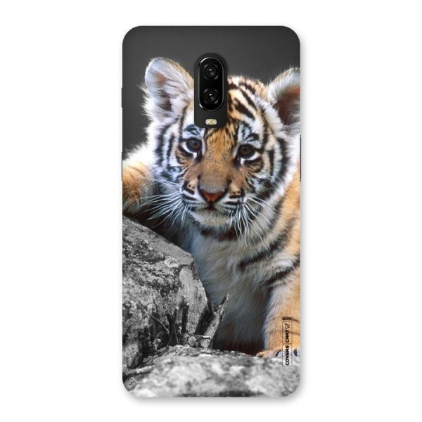 Animal Beauty Back Case for OnePlus 6T