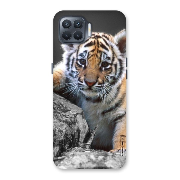 Animal Beauty Back Case for Oppo F17 Pro