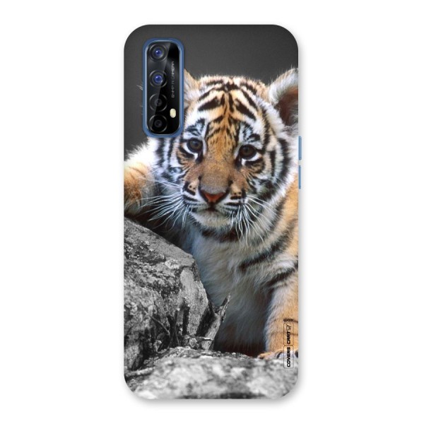 Animal Beauty Back Case for Realme 7