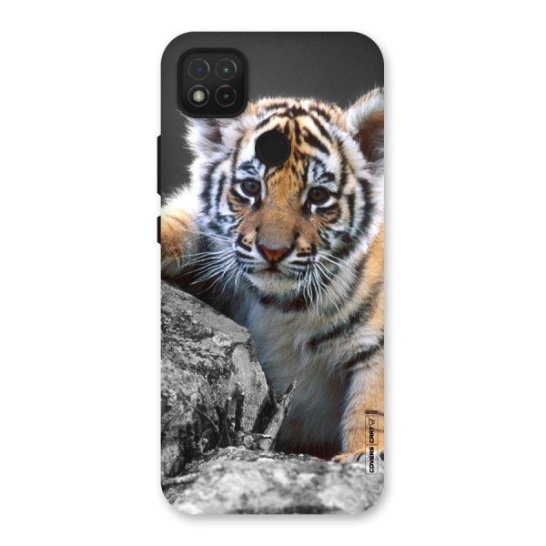 Animal Beauty Back Case for Redmi 9C