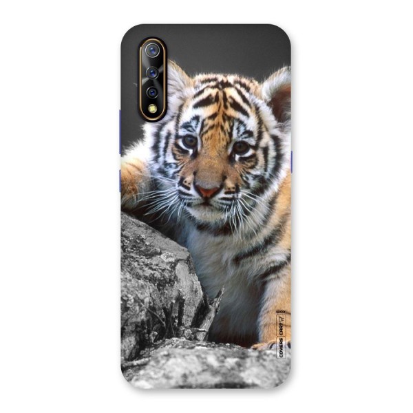 Animal Beauty Back Case for Vivo S1