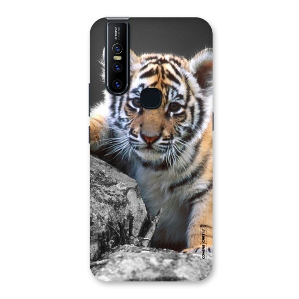 Animal Beauty Back Case for Vivo V15