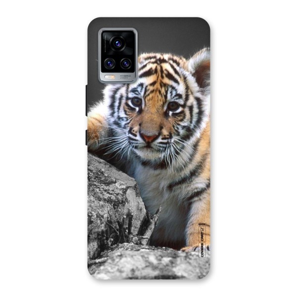 Animal Beauty Back Case for Vivo V20 Pro