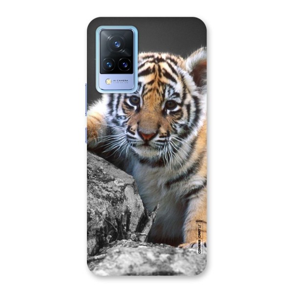 Animal Beauty Back Case for Vivo V21 5G