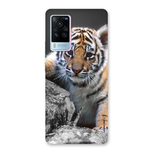 Animal Beauty Back Case for Vivo X60 Pro