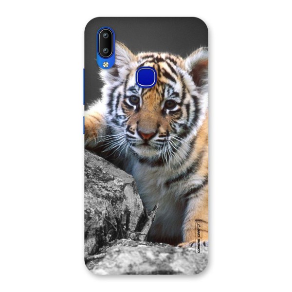 Animal Beauty Back Case for Vivo Y91