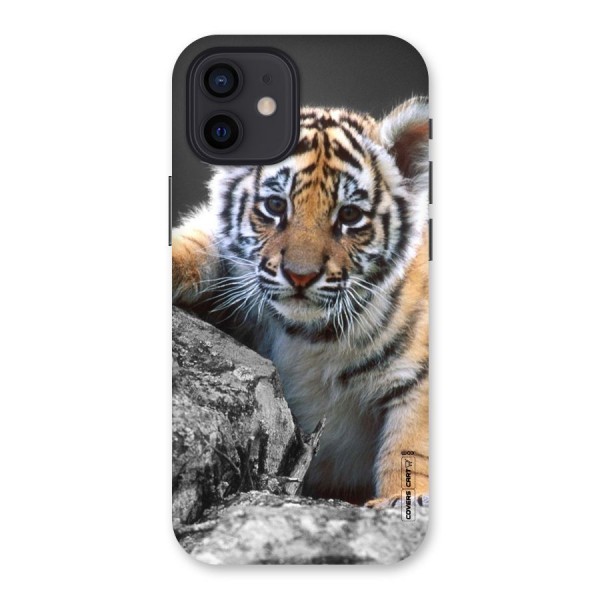 Animal Beauty Back Case for iPhone 12