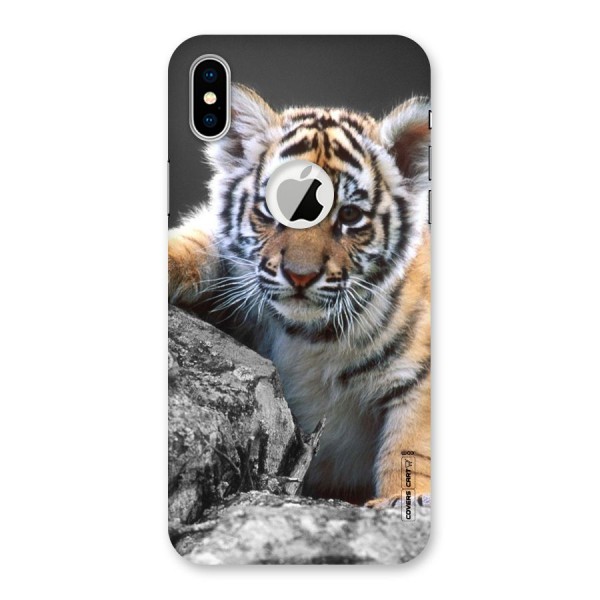 Animal Beauty Back Case for iPhone XS Logo Cut