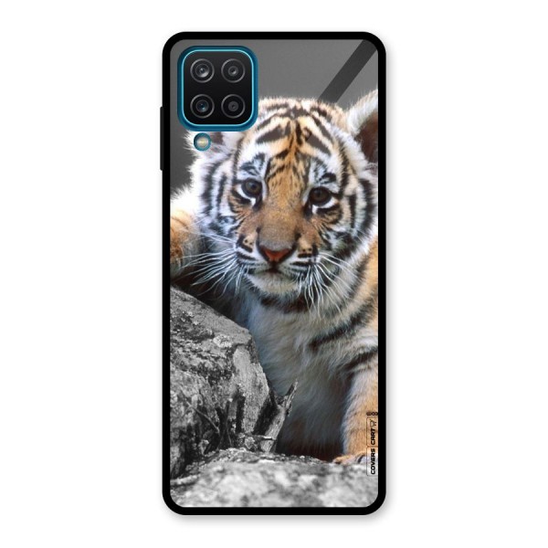 Animal Beauty Glass Back Case for Galaxy A12