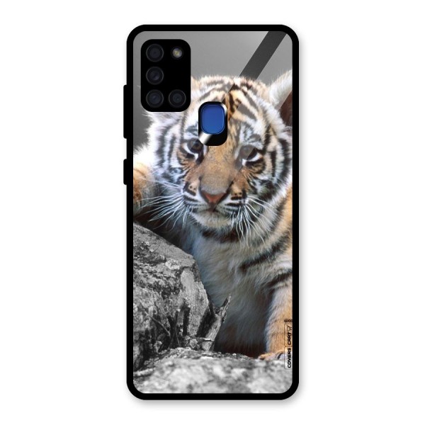 Animal Beauty Glass Back Case for Galaxy A21s