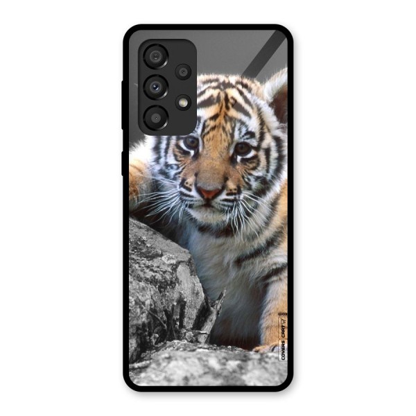 Animal Beauty Glass Back Case for Galaxy A33 5G