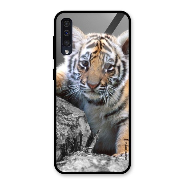 Animal Beauty Glass Back Case for Galaxy A50s