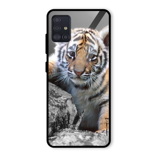 Animal Beauty Glass Back Case for Galaxy A51