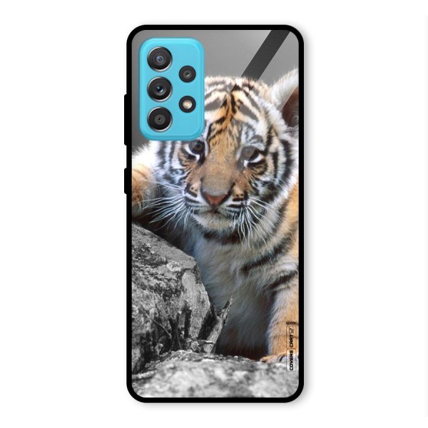 Animal Beauty Glass Back Case for Galaxy A52s 5G