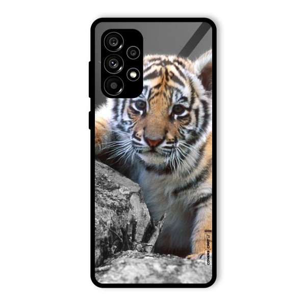 Animal Beauty Glass Back Case for Galaxy A73 5G