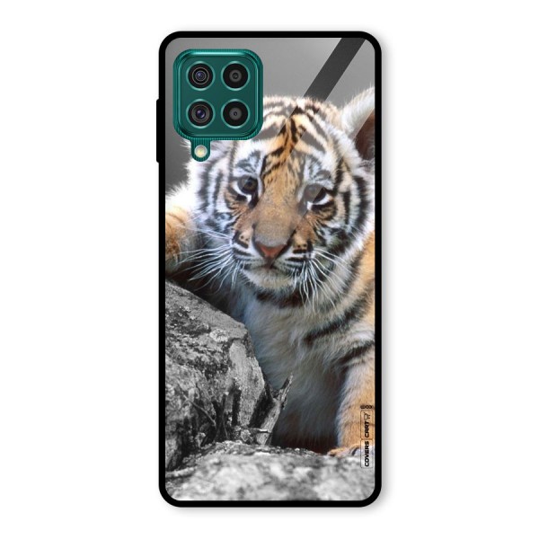 Animal Beauty Glass Back Case for Galaxy F62