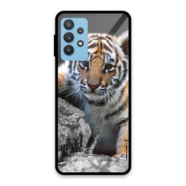 Animal Beauty Glass Back Case for Galaxy M32 5G