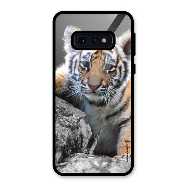 Animal Beauty Glass Back Case for Galaxy S10e