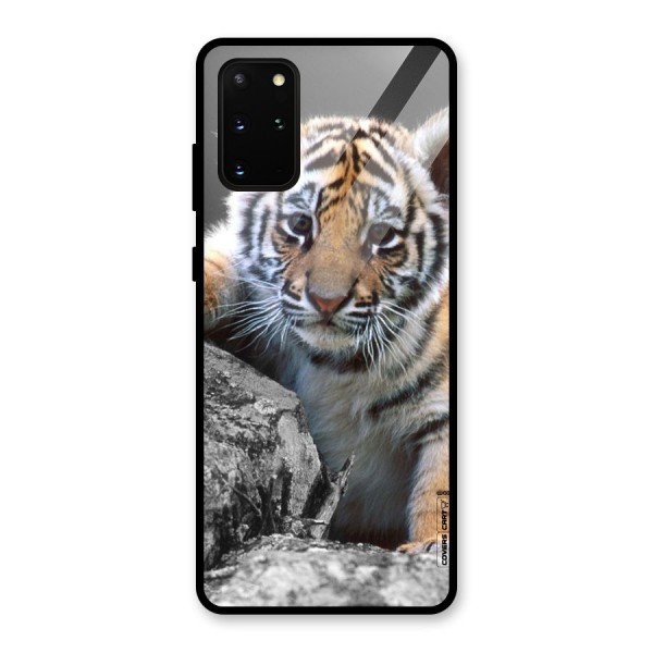 Animal Beauty Glass Back Case for Galaxy S20 Plus