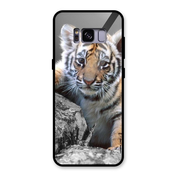 Animal Beauty Glass Back Case for Galaxy S8