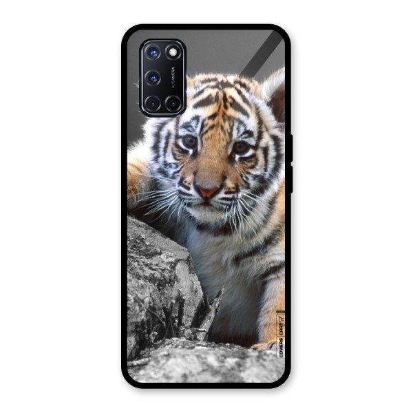 Animal Beauty Glass Back Case for Oppo A52