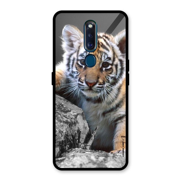 Animal Beauty Glass Back Case for Oppo F11 Pro