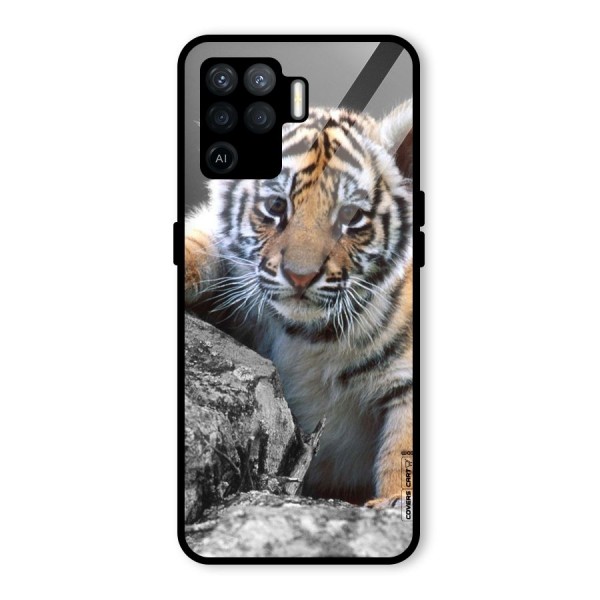 Animal Beauty Glass Back Case for Oppo F19 Pro