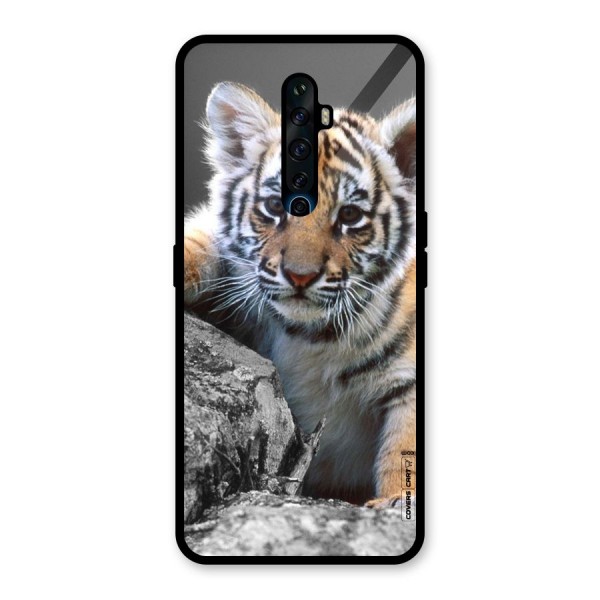 Animal Beauty Glass Back Case for Oppo Reno2 Z